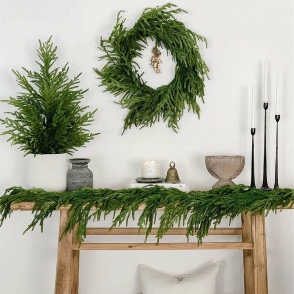 Kirkland Signature Holiday Norfolk Pine Garland 5ft Strand Poshmark